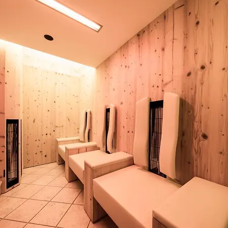 Alpenhof Hotel 3*