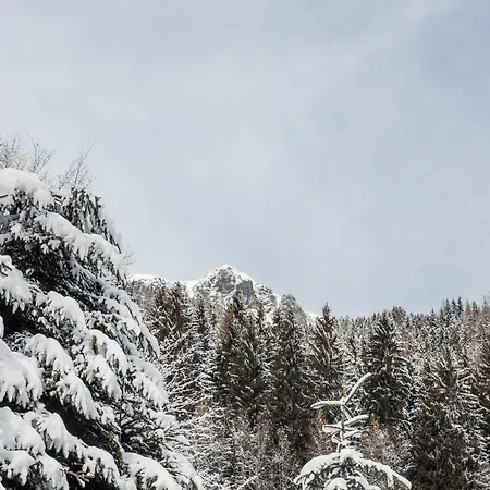 Alpenhof Hotel 3*